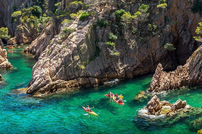 Barcelona Costa Brava Kayak, Snorkel & Cliff Jump Day Tour - Cliff jumping: optional heights, real rock comfort tips, and how to choose your level