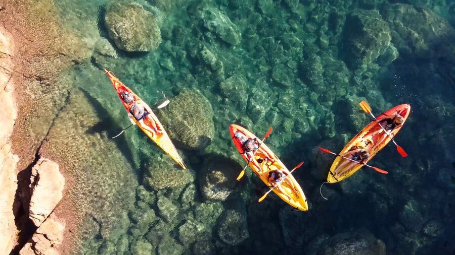 Barcelona: Costa Brava Kayak, Snorkel & Cliff Jump & Lunch - Snorkeling Over Rocky Reefs: Marine Life Chances and Realistic Expectations