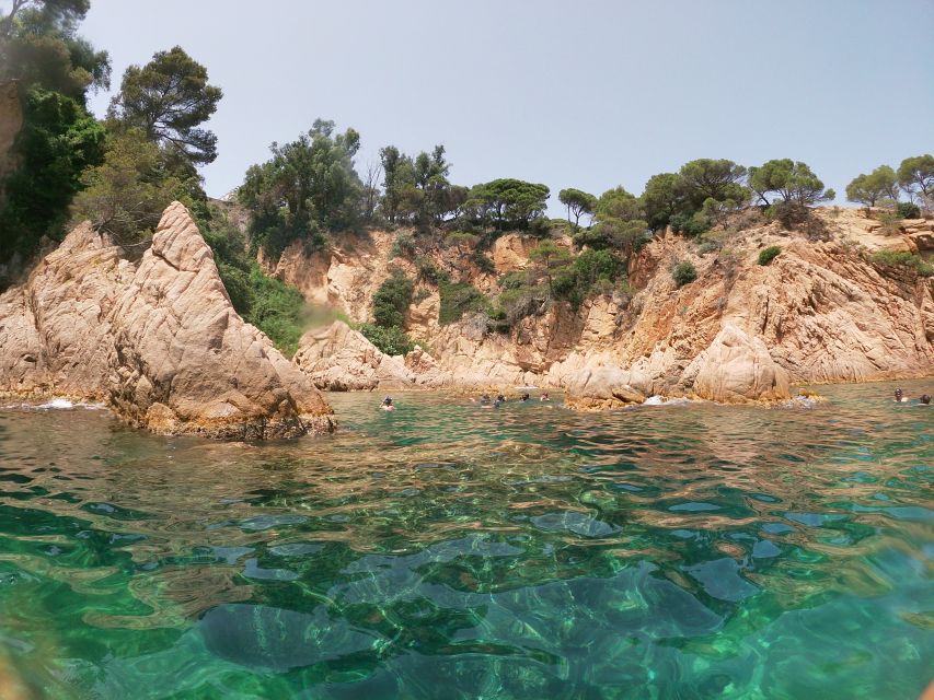 Barcelona: Costa Brava Kayaking & Snorkeling Tour with Lunch - The picnic lunch on the beach: simple, filling, and timed well