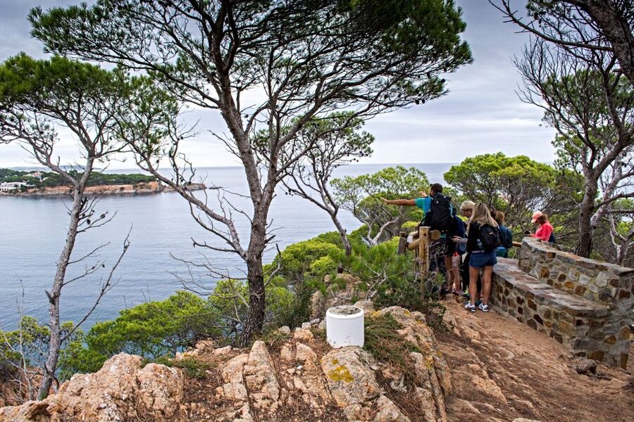 Barcelona: Costa Brava Tour with Kayak & Lagoon Snorkeling - Key things you’ll notice on this Costa Brava day