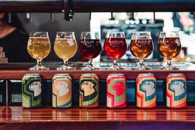 Barcelona Craft Beer Tour with a Brewery Tour and 3 Local Bars - What to bring (and what to skip)