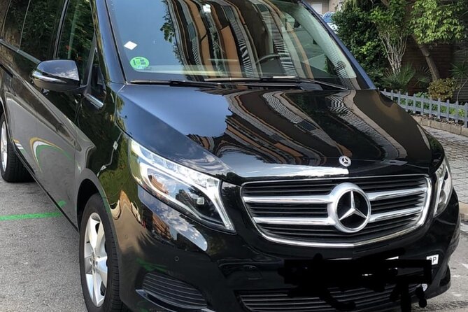 Barcelona Cruise port to barcelona city private transfer - Who This Transfer Works Best For