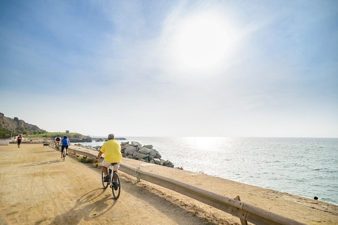 Barcelona eBike Beach Private Tour to Vineyards & Picnic - Cellar tour + 4-wine tasting + a picnic you’ll actually eat