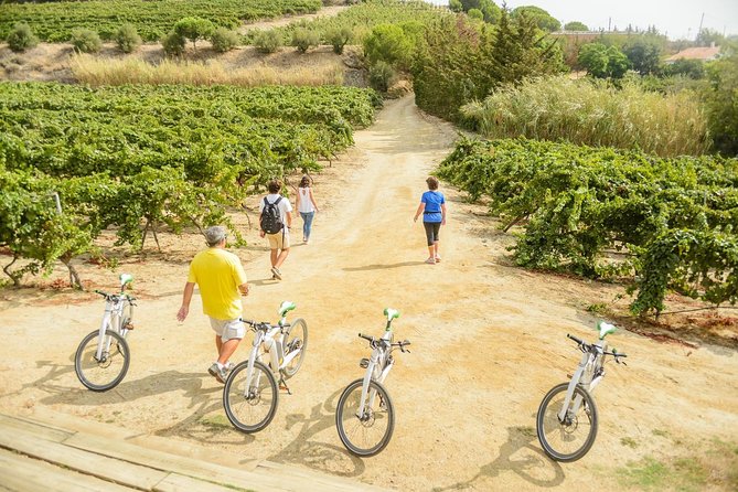 Barcelona eBike Beach Private Tour to Vineyards & Picnic - Price and value: what you’re paying for