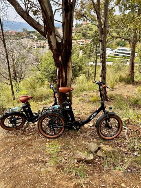 Barcelona: Explore the City with Eco-Friendly E-Bike Rentals - Should you book Levi Tour BCN’s Barcelona e-bike rental?