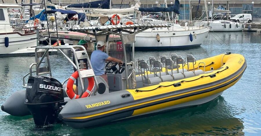 Barcelona: Fast Skyline Cruise - Coastal cruise first, speed later: what the harbor-to-open-water change means