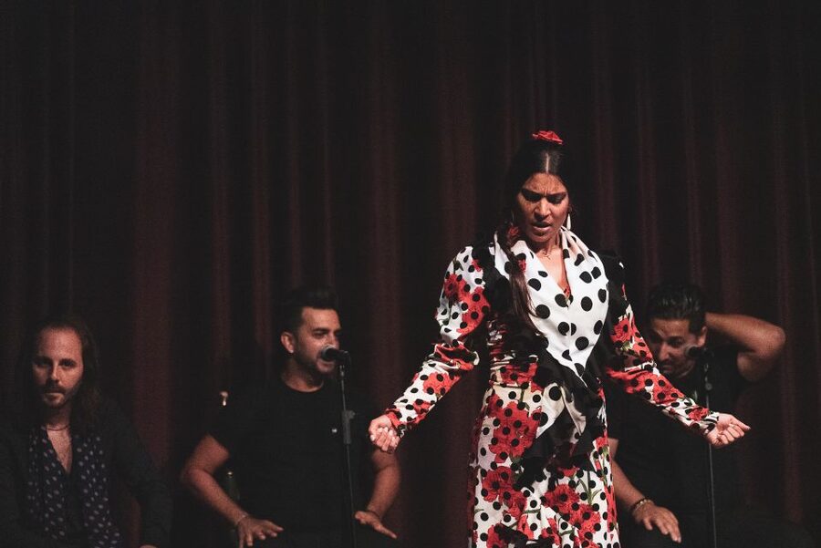 Barcelona: Flamenco Show at Palau Dalmases - Key points to know before you go