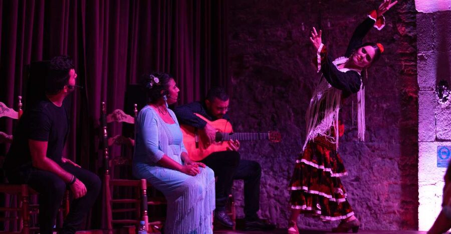Barcelona: Flamenco Show at Palau Dalmases - What happens in a 50–55 minute flamenco set