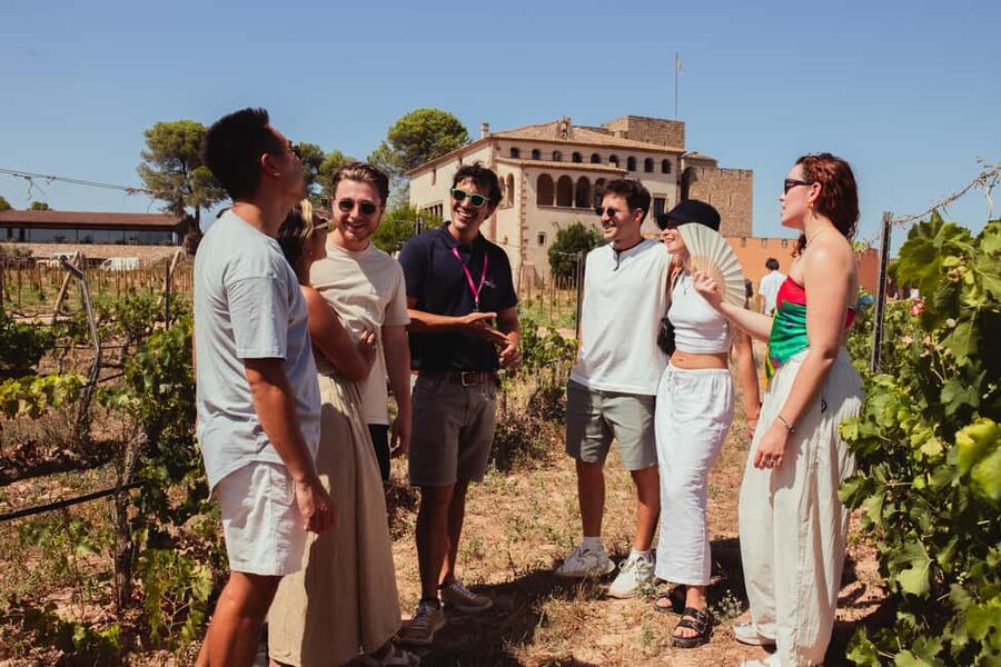 Barcelona: Full-Day Montserrat & Wine Small Group Tour - Timing and logistics: how to plan your day like a pro