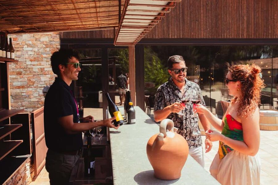 Barcelona: Full-Day Montserrat & Wine Small Group Tour - From Barcelona to Montserrat: what this day trip really delivers