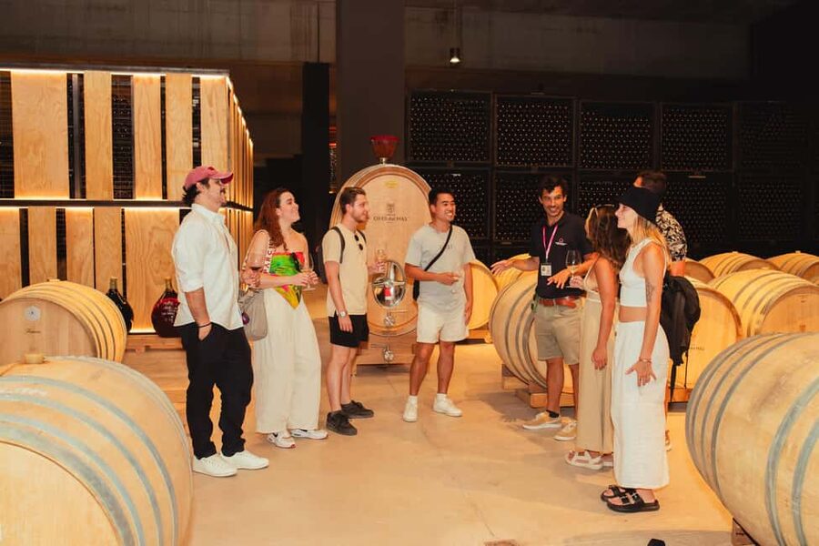 Barcelona: Full-Day Montserrat & Wine Small Group Tour - La Moreneta, basilica entry, and the Boys’ Choir ticket reality