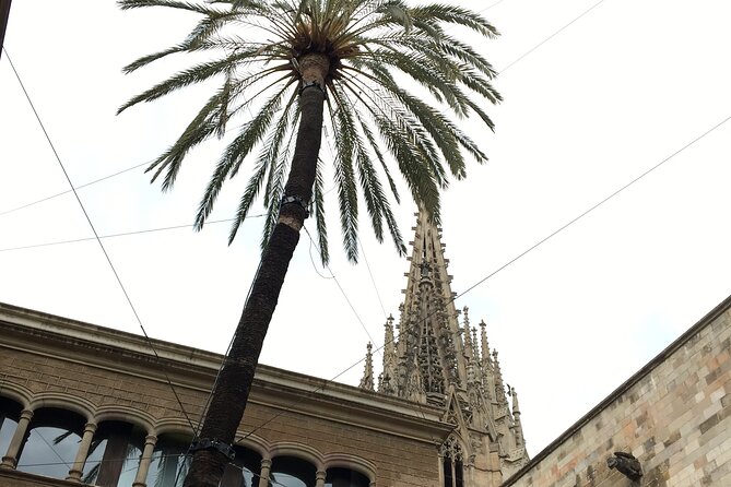 Barcelona Gothic Quarter From Roman Walls to Hidden Courtyards - Key Points You’ll Care About