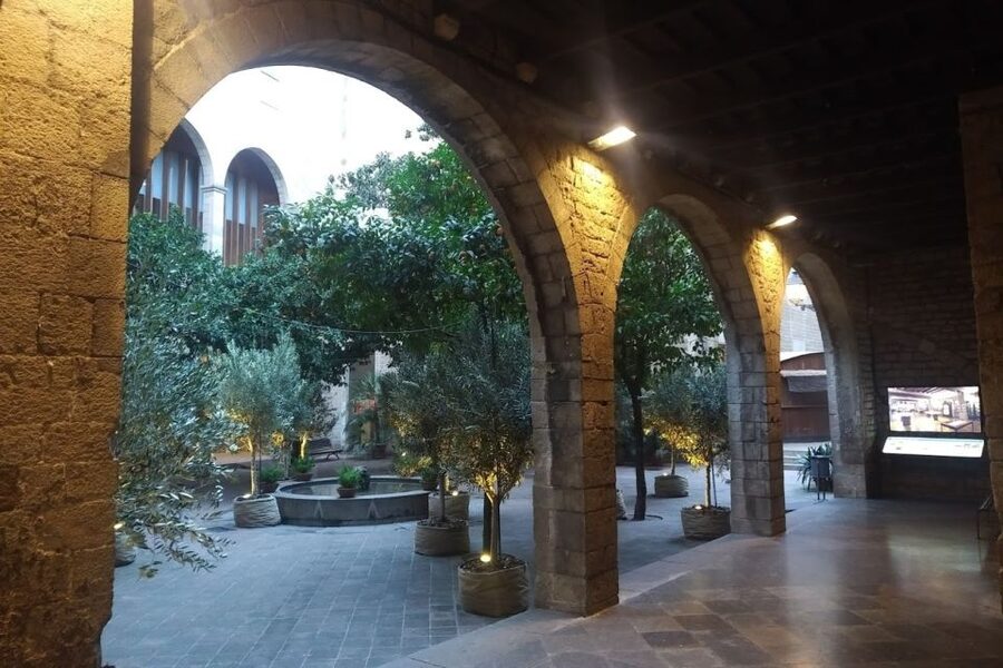 Barcelona: Gothic Quarter Walking Tour with Optional Tapas - Nova Square and the Gothic Cathedral area: what stands out in the light