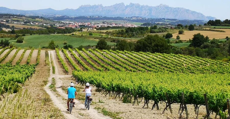 Barcelona: Guided Half-Day Wine and Electric Bike Tour - Key things to know before you go