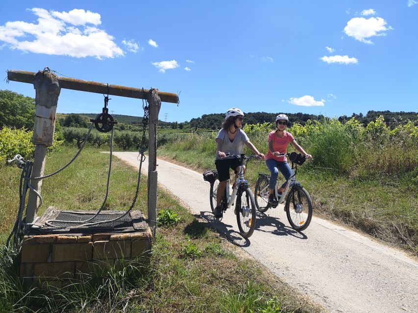 Barcelona: Guided Half-Day Wine and Electric Bike Tour - The heart of the day: an ecologic traditional winery visit