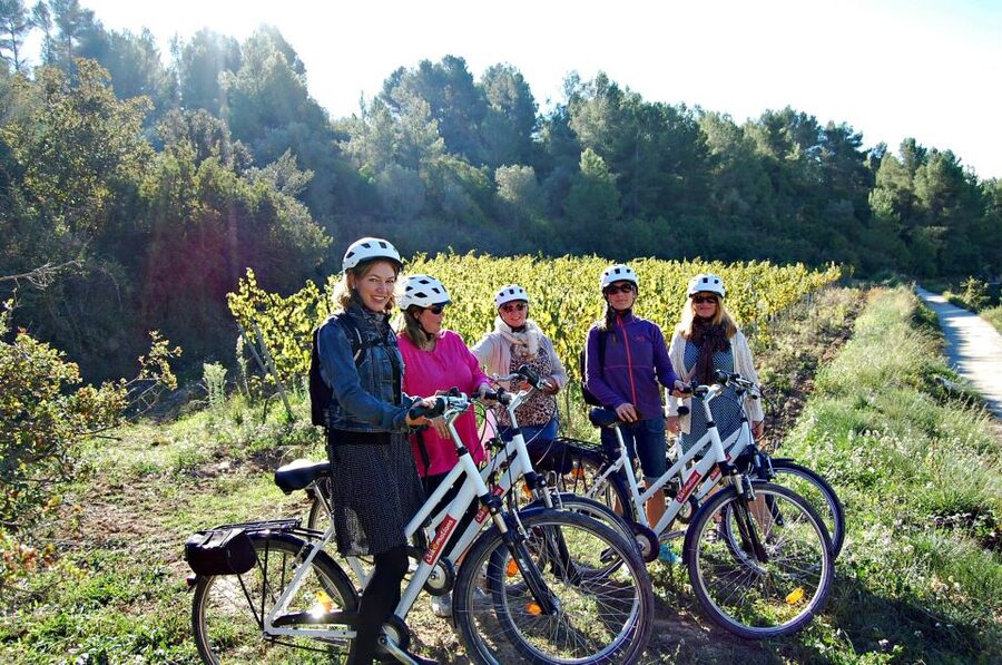 Barcelona: Guided Half-Day Wine and Electric Bike Tour - Tasting 3 glasses: wine, cava, and how to make it stick