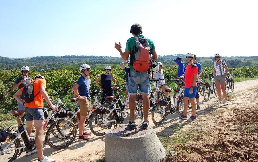 Barcelona: Guided Half-Day Wine and Electric Bike Tour - Small group touring with real personalities (Albert and Colin)
