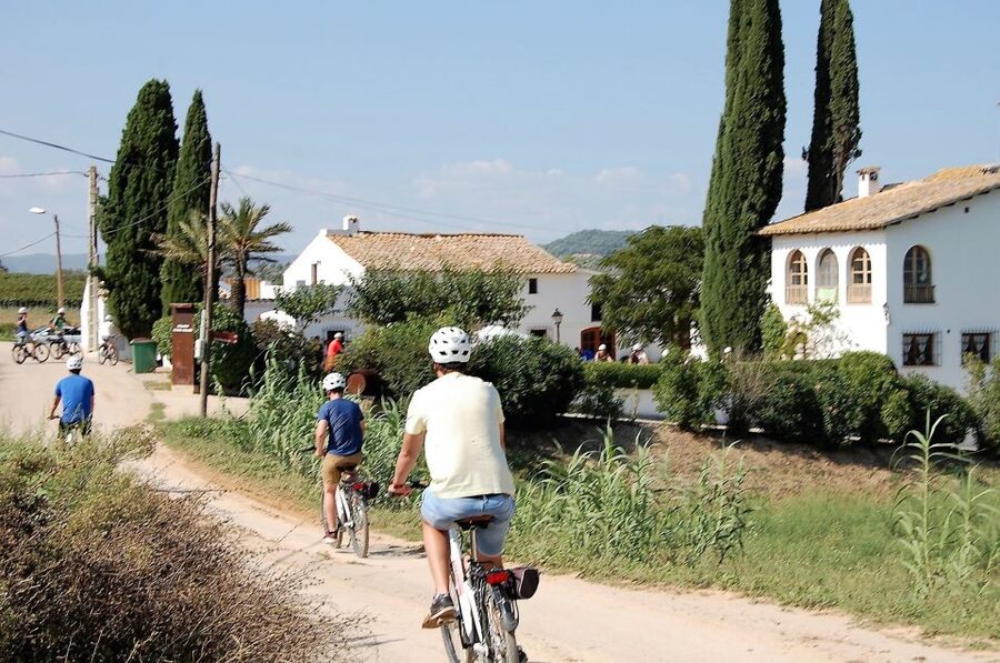 Barcelona: Guided Half-Day Wine and Electric Bike Tour - Price and value: what you’re really paying for