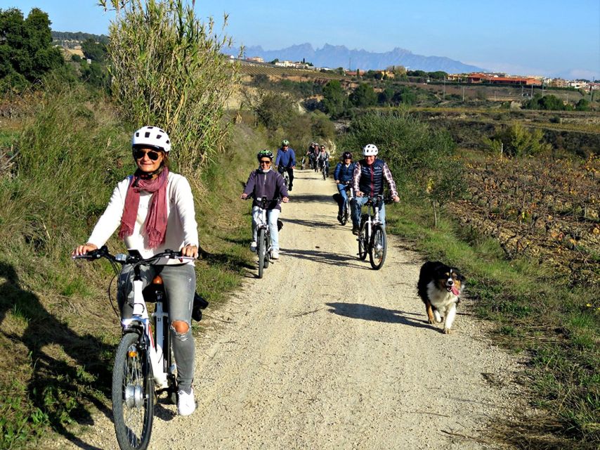 Barcelona: Guided Half-Day Wine and Electric Bike Tour - Getting out of Barcelona: Lavern-Subirats is your gateway