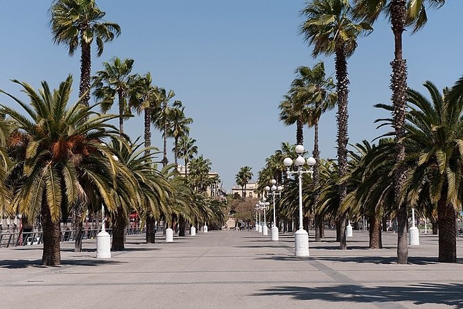 Barcelona Half-Day Sightseeing Private Tour - Montjuïc Hill and the 1992 Olympics Views