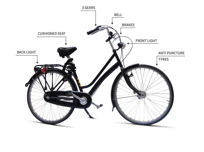 Barcelona Highlights Bike Tour: Cycle along the beach! - Port Olímpic and Port Vell: From City Streets to Sea Air