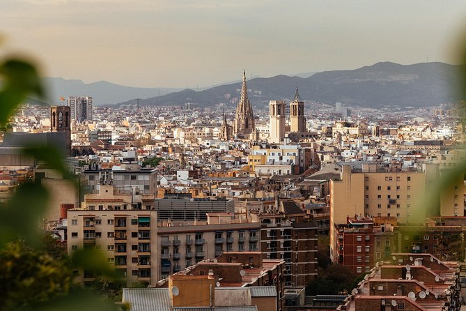 Barcelona Highlights & Hidden Gems Private Tour - What the Included Drink Means for Your Day