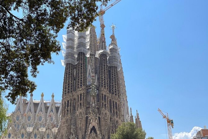 Barcelona Highlights Private Tour - What the reviews reveal: the wins and the pain points