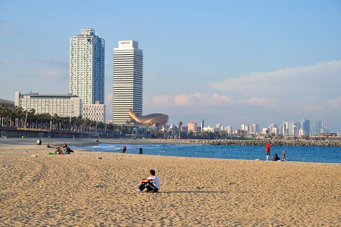 Barcelona Highlights Private Tour with Driver and Official Guide - How This 4-Hour Private Highlights Day Actually Feels