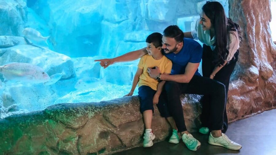 Barcelona: Hop-On Hop-Off Bus & Aquarium Tour - Key things to know before you go