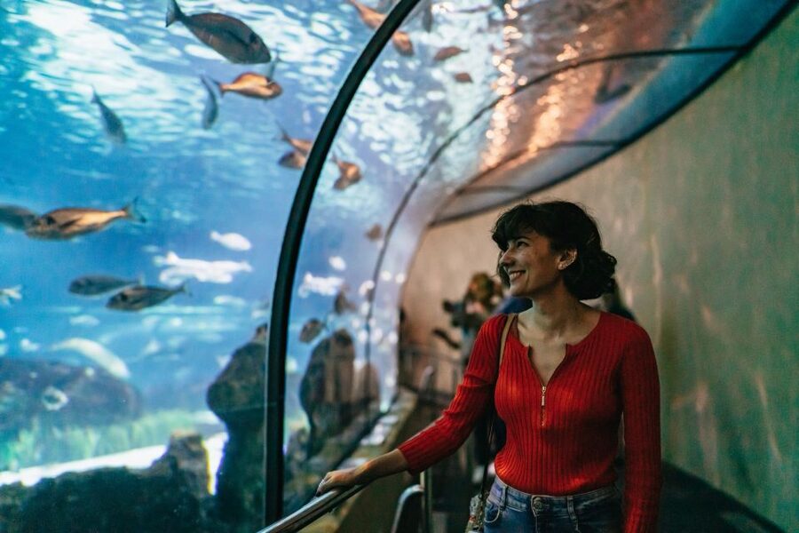 Barcelona: Hop-On Hop-Off Bus & Aquarium Tour - Starting at Plaça Catalunya and finding your bus again