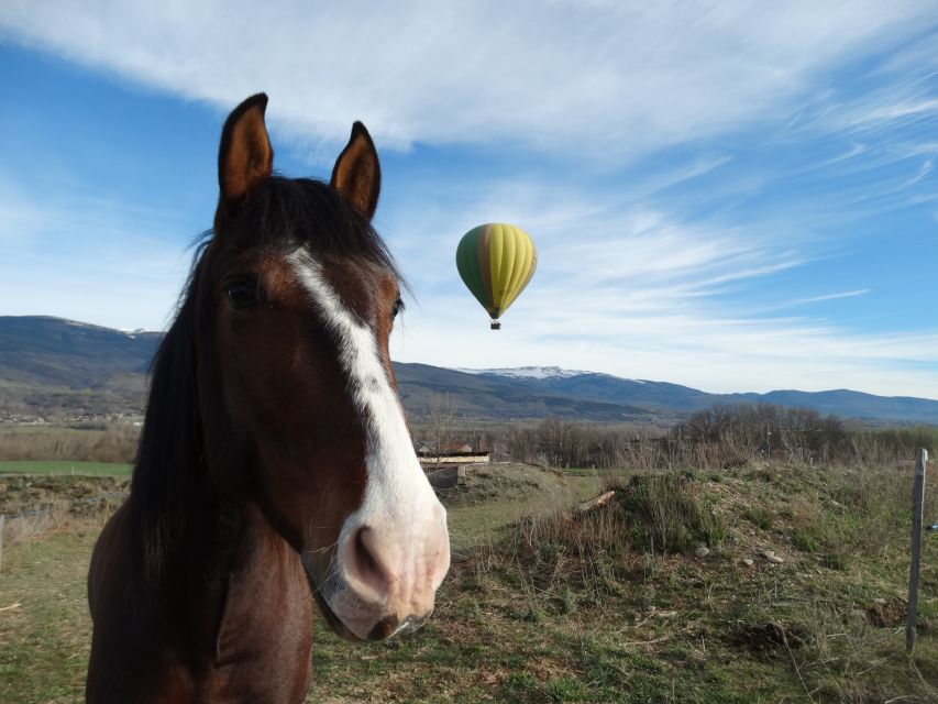Barcelona: Hot Air Balloon Ride - Price and Value at About $255 Per Person