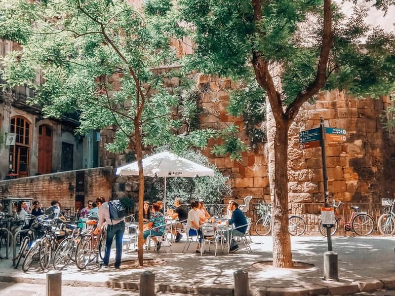 Barcelona: Introduction to the Gothic Quarter Walking Tour - Starting at Plaça de Correus: getting oriented fast