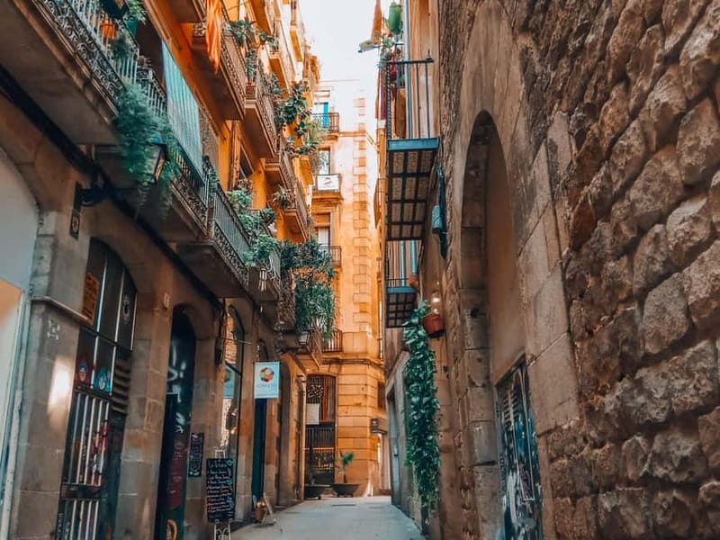 Barcelona: Introduction to the Gothic Quarter Walking Tour - Following the Roman thread: Barcino under your feet
