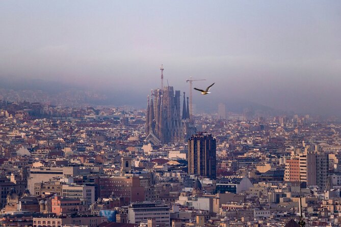 Barcelona La Sagrada Familia Guided Tour with Tickets - Meeting at Carrer de Mallorca: Find It Fast, Stay Calm
