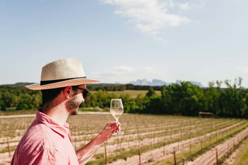 Barcelona: Montserrat, Cogwheel, Black Madonna & Winery Tour - The Oller del Mas winery option: family-run, long-rooted, and scenic