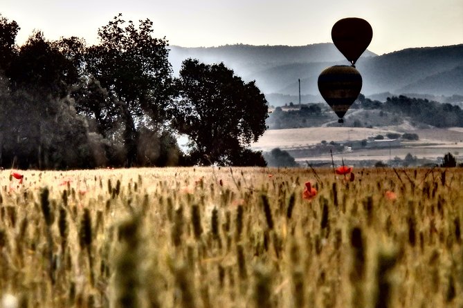 Barcelona: Montserrat Hot Air Balloon Ride with Champagne Toast - Booking value: why $272.21 can make sense