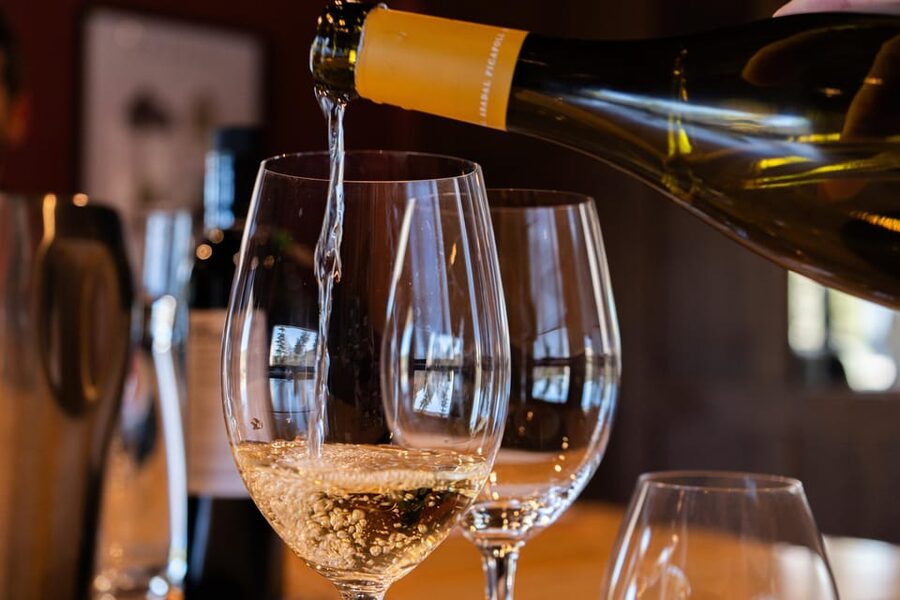 Barcelona: Montserrat, Winery Tour & Lunch with Wine Tasting - Free time on Montserrat: how to use your hour well
