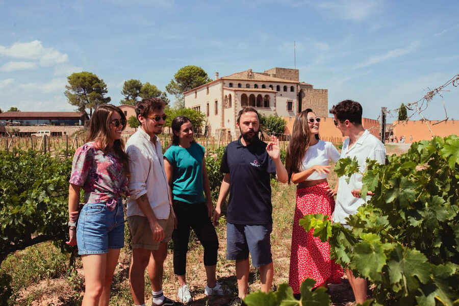 Barcelona: Montserrat with Winery, Lunch, and Train Options - Pace, groups, and comfort: how to avoid a frustrating day