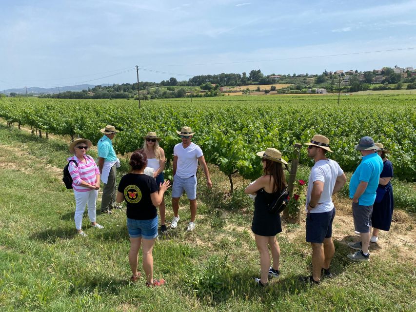 Barcelona: Montserrat with Winery Visit and Farmhouse Lunch - Who This Tour Fits Best (and Who Might Want Something Else)