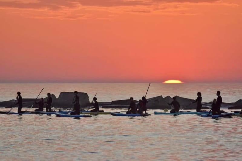 Barcelona: Paddleboarding at Sunrise. Includes: instructor, photos, equipment - Key highlights worth waking up for