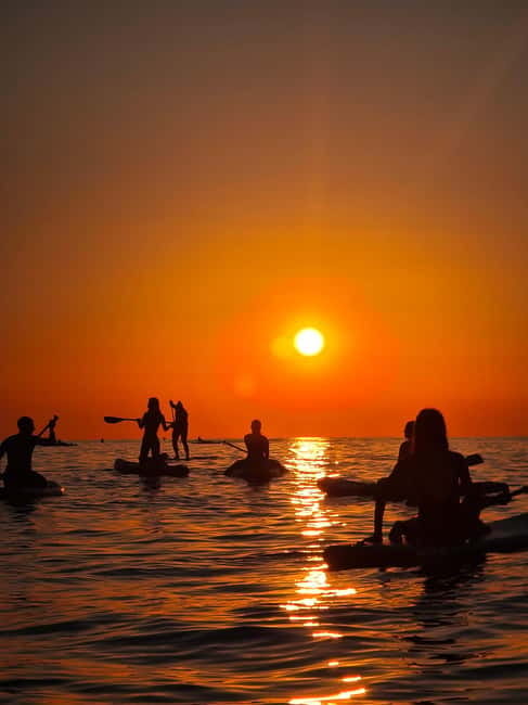Barcelona: Paddleboarding at Sunrise. Includes: instructor, photos, equipment - Safety, equipment, and why the wetsuit matters