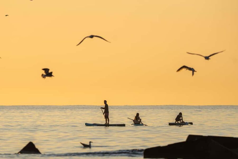 Barcelona: Paddlesurf Rental Barceloneta beach (75min) - Life jacket and sea safety: what’s included, what to watch