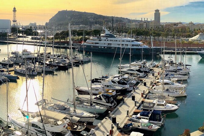 Barcelona Panoramic Walking Tour - private tour - What Christian (the guide) does that actually helps