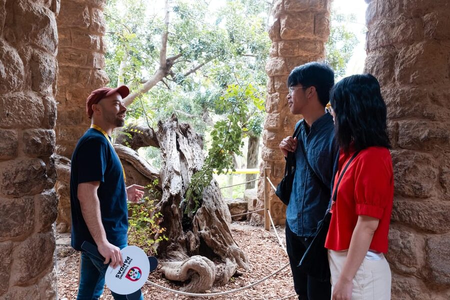 Barcelona: Park Güell Guided Tour with Fast-Track Access - The guide matters: what the best versions of this tour do right