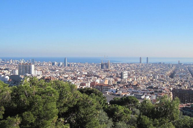 Barcelona: Park Guell Guided Tour with Skip the Line Ticket - Skip-the-Line Tickets: What You Really Gain at Park Güell