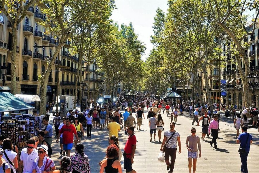 Barcelona & Park Güell: Private Half-Day Tour with Pickup - Who this private tour is best for