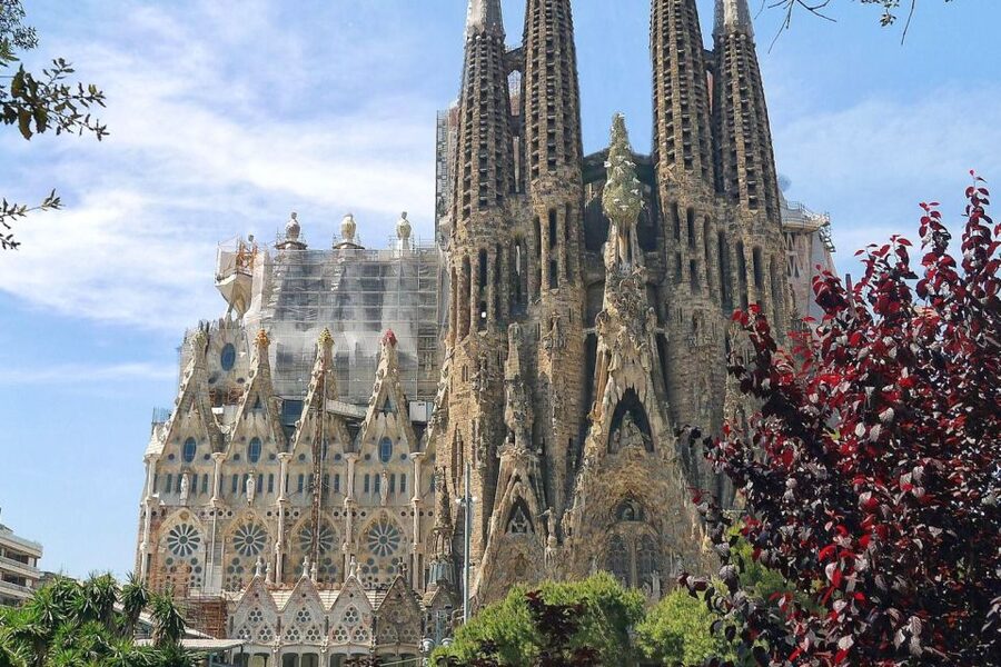 Barcelona & Park Güell: Private Half-Day Tour with Pickup - Park Güell without the ticket-line headache
