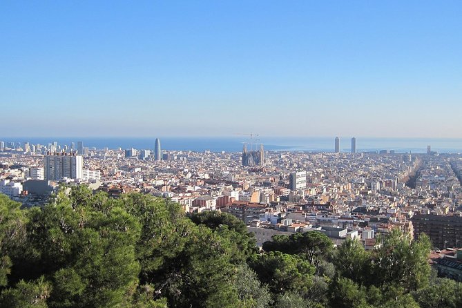 Barcelona: Park Guell Skip the Line Guided Tour - A 75-Minute Tour That Still Feels Like You Got Something