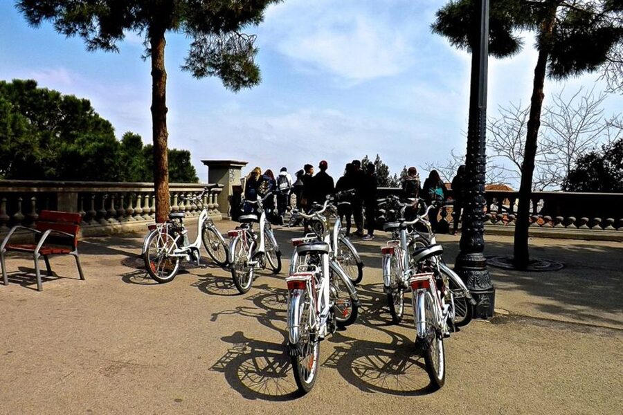 Barcelona: Personalized Private E-Bike Tour - Plaça Reial fountain start: where the tour begins smoothly