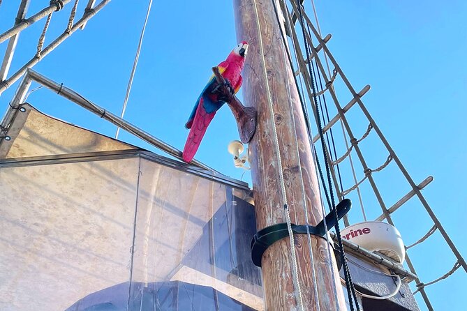 Barcelona Pirate Adventure 75min. - Group size and what it means for your experience